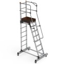 ALUMINUM SHELF LADDER